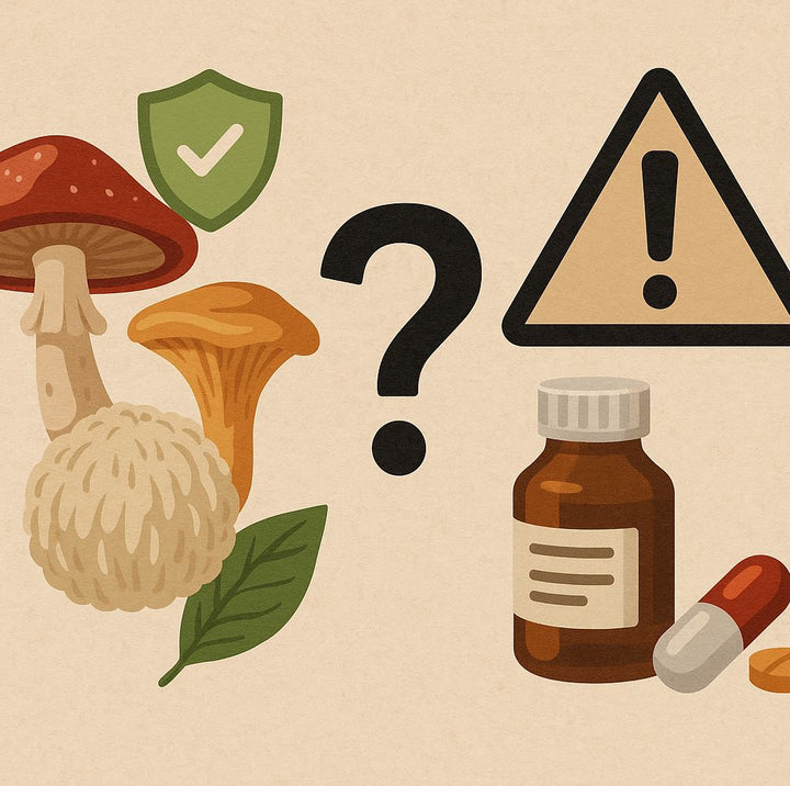 Champignons adaptogènes : bienfaits quotidiens ou risques cachés ?