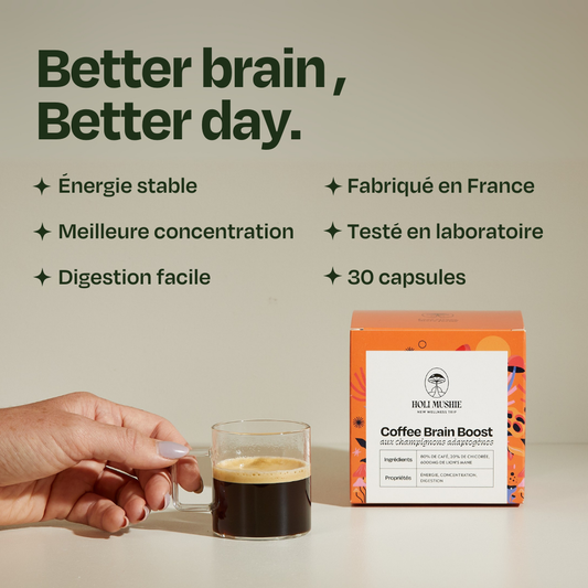 Café FOCUS Lion's Mane