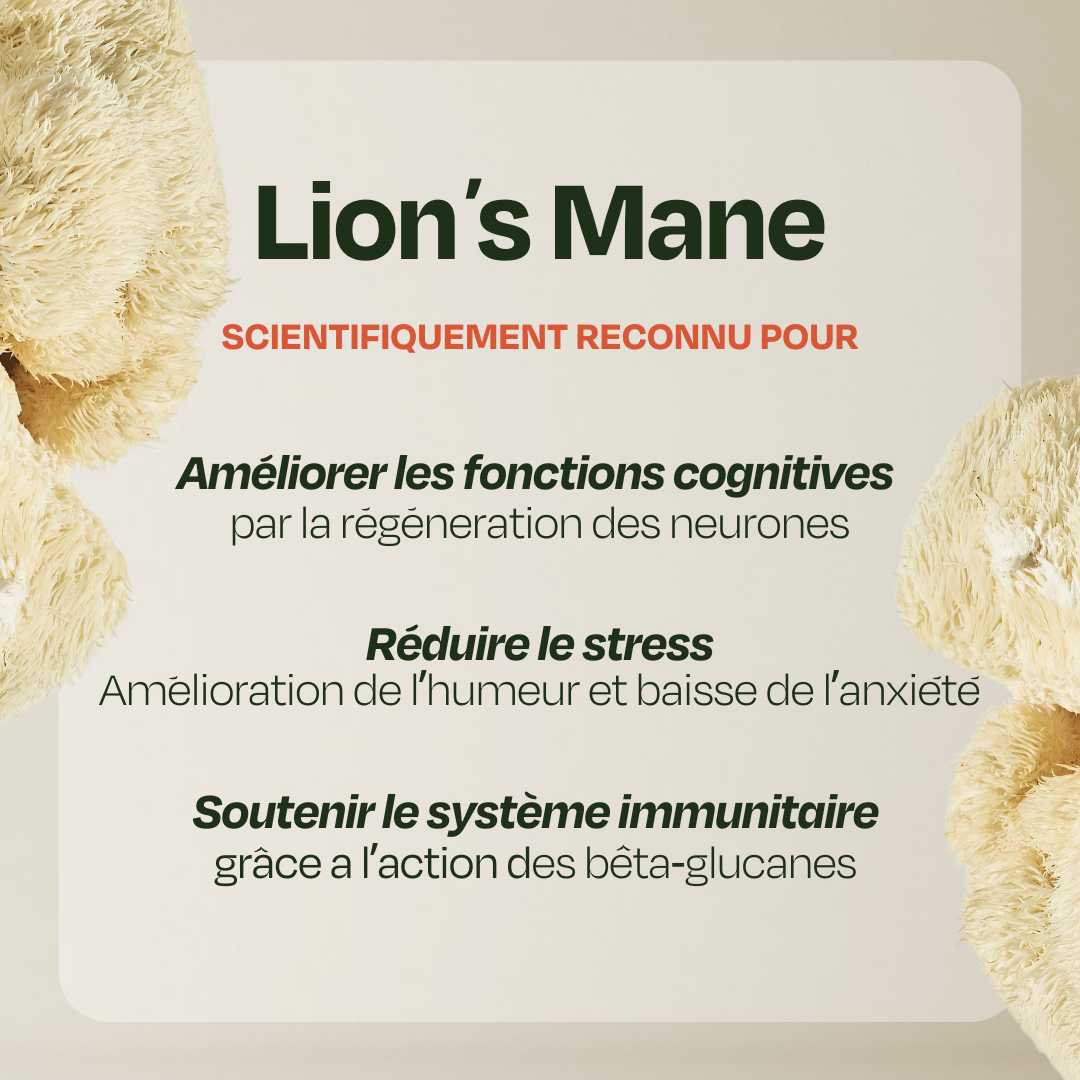 Café FOCUS Lion's Mane
