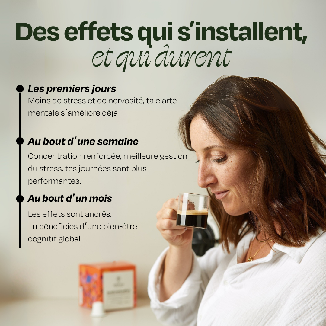 Café FOCUS Lion's Mane