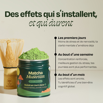 Matcha FOCUS aux champignons