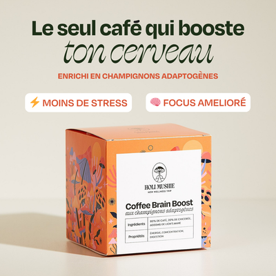Café FOCUS Lion's Mane
