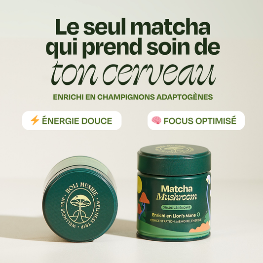 Matcha FOCUS aux champignons