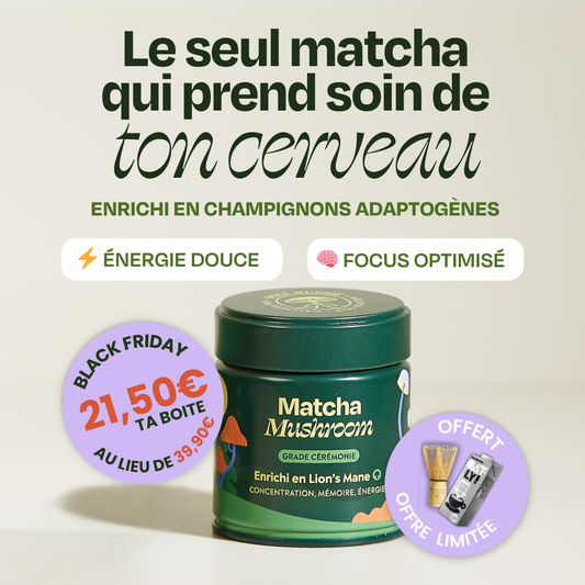 Matcha FOCUS aux champignons