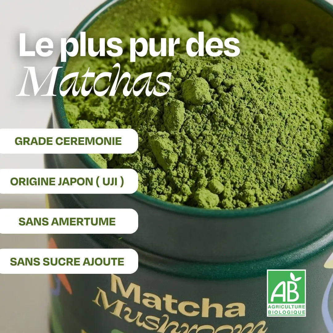 Matcha FOCUS aux champignons