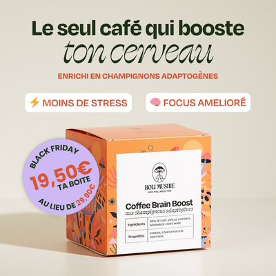 Café FOCUS Lion's Mane