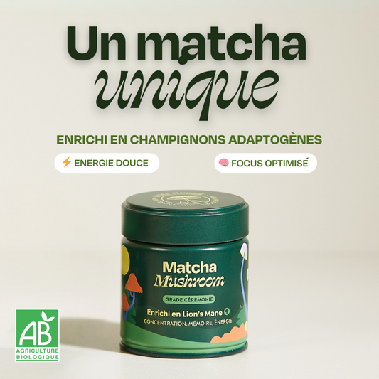 Matcha aux champignons adaptogènes