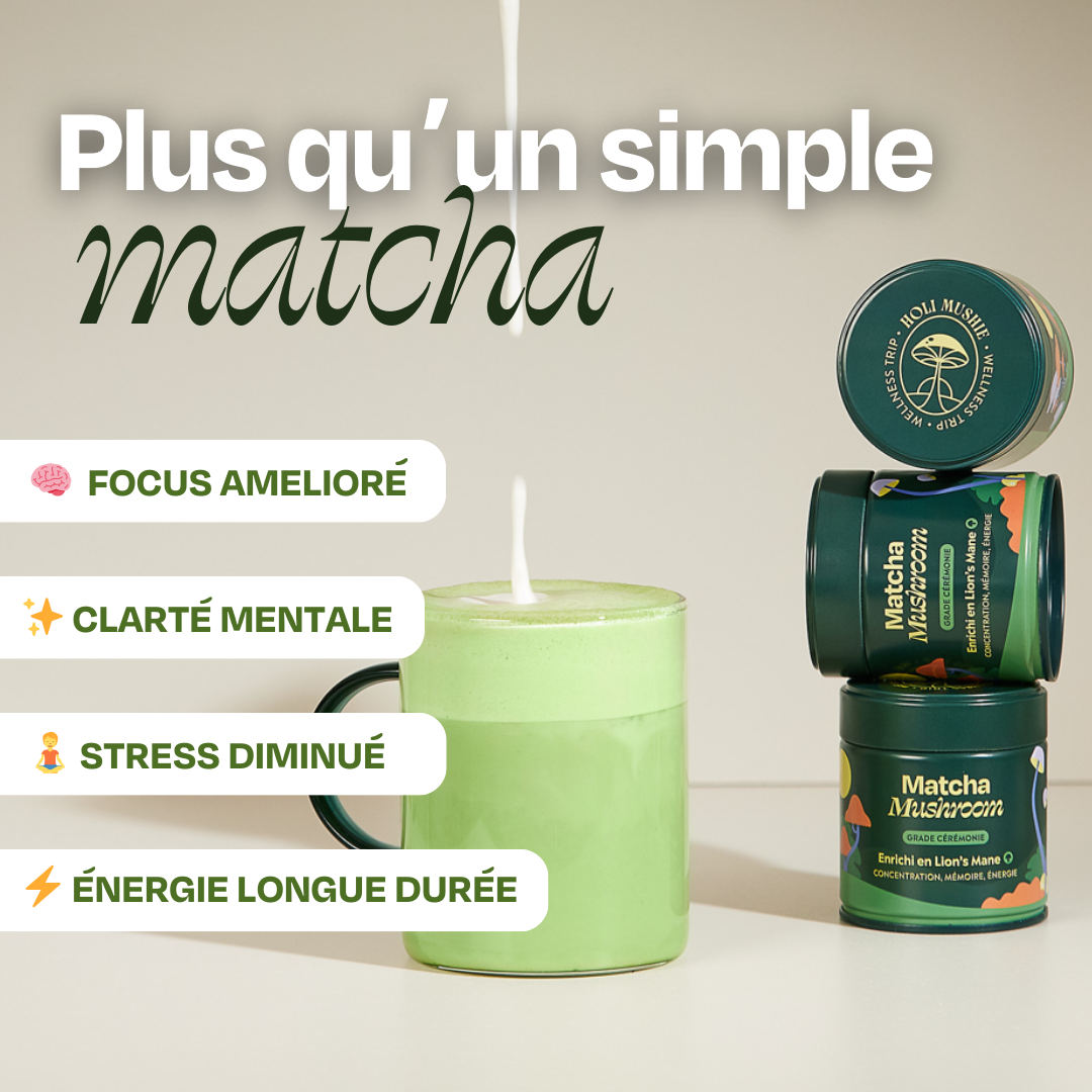 Matcha + fouet + lait barista