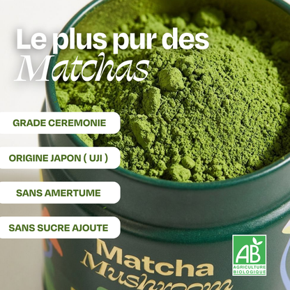 Matcha + fouet + lait barista