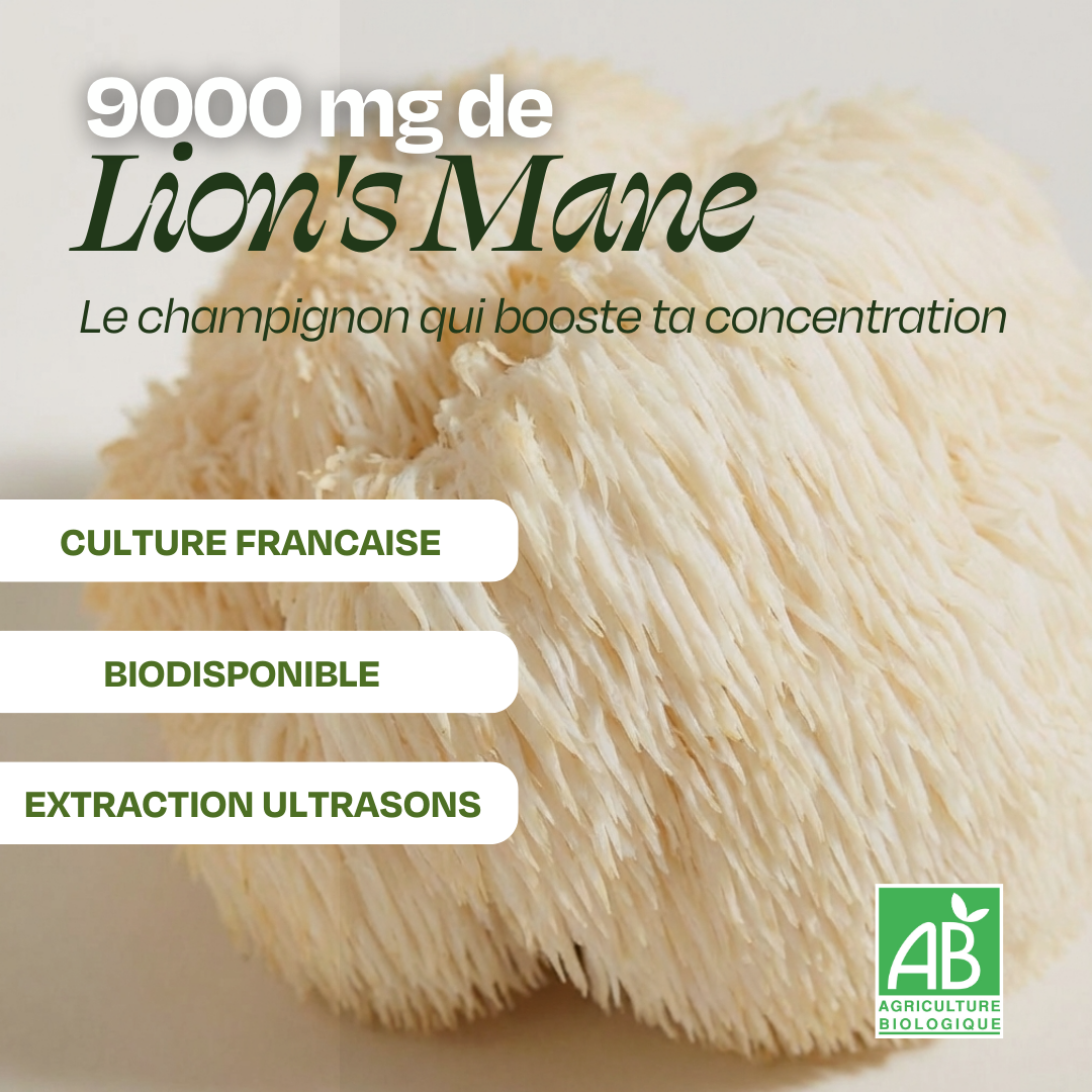 Matcha + fouet + lait barista