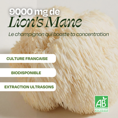 Matcha aux champignons adaptogènes