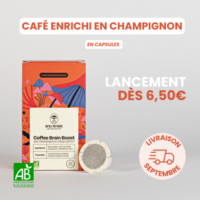 Café FOCUS champignon - CAPSULES