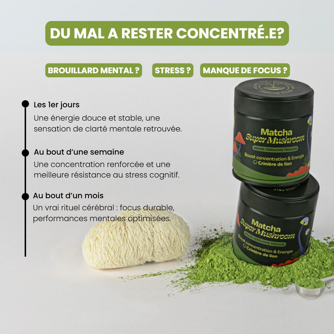 Matcha FOCUS aux champignons
