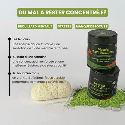 Matcha FOCUS aux champignons