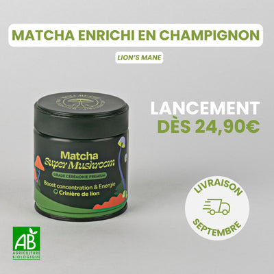 Matcha FOCUS aux champignons